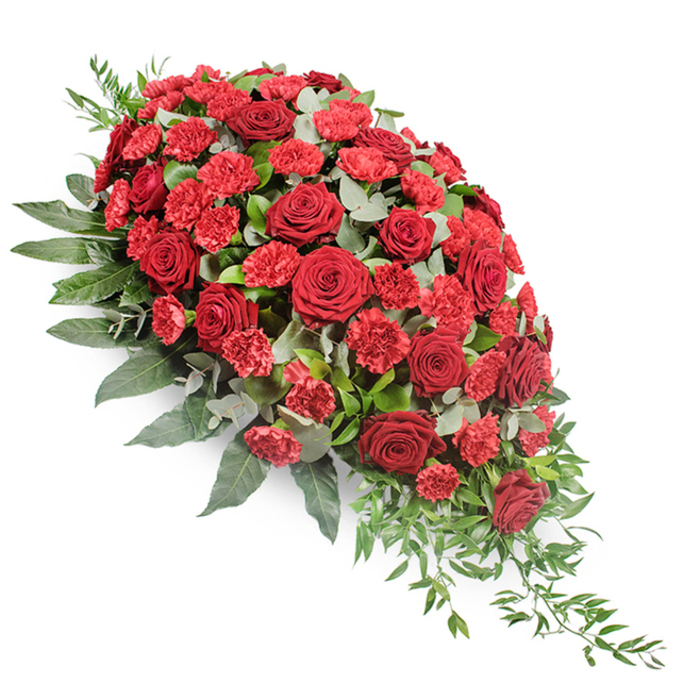 A large, traditional red and green casket spray is presented against a clean white background, showcasing its elegant teardrop outline from the full, lush top left down to a gently pointed tip at the lower right. Closely packed within this silhouette are deep red roses, the blooms open and velvety, with each petal curling around the centre in soft, layered whorls that radiate classic grace. Between them, smaller red spray carnations add their distinctive ruffled texture, the fringed petals creating a soft, almost cloud-like effect that fills the arrangement without making it feel heavy. The interplay between the darker, wine-toned roses and the brighter carnations produces a rich yet balanced crimson palette, resonant with feelings of love, honour, and remembrance. The floral heart of the spray is framed by a structured collar of foliage: wide, dark green leaves lend the design stability and a defined edge, while rounded eucalyptus leaves in muted silvery green weave among the flowers, providing contrast and a gentle, cooling note. At the lower edge and along the right-hand side, strands of lighter green trailing foliage drift outward and downward; these slender stems, reminiscent of ruscus, give the arrangement a soft, cascading movement that guides the eye along the teardrop curve. Even, neutral lighting and the white background focus attention entirely on the composition, much like the way such a tribute would become a focal point in a quiet chapel in Stanmore or near Bentley Priory. This spray reflects the kind of thoughtful funeral arrangement created for grieving families, intended to rest on a casket or be placed at the front of the service to express profound sympathy and lasting affection.