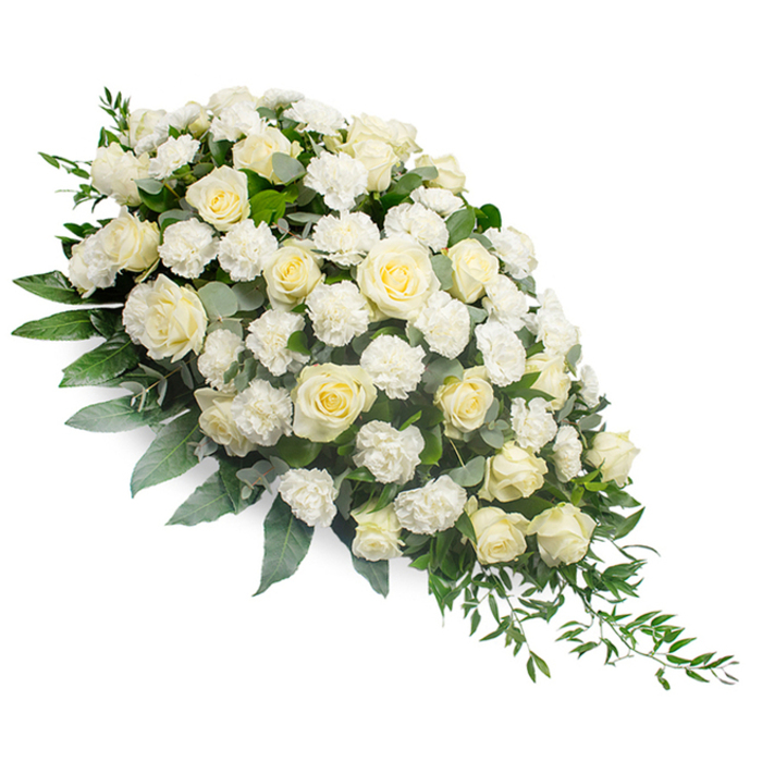 A luxurious white funeral spray occupies the centre of a clean, white background, its elongated teardrop form stretching from a full, rounded cluster on the upper left to a slim, gently trailing tip on the lower right. The eye is first drawn to the abundance of white and soft cream roses, positioned so their velvety petals, spiralling inwards toward tightly cupped centres, can be clearly seen. Some roses are only just beginning to open, lending a sense of tenderness, while others are fully bloomed, adding richness and presence. Woven between them, white carnations contribute a distinct, ruffled texture, their intricate, lace-like edges softening the transitions between each rose and filling the arrangement with a clouded, almost ethereal softness. Supporting this profusion of blooms, a base of varied greenery provides depth and contrast. Broad, dark leaves create a strong structure, while silvery-green eucalyptus leaves introduce cooler tones and a more delicate silhouette around the flowers. From the tapered point of the spray, slender ruscus stems and trailing foliage arc and fall softly, accentuating the graceful crescent line that is so often favoured for sympathy tributes. The lighting is gentle and diffused, allowing every nuance in the petals and leaves to be appreciated without distraction. This serene composition, reminiscent of the understated elegance many families in Stanmore request, could be imagined resting in a chapel near Stanmore Golf Club or placed by a memorial framed by the greenery of Canons Park. Crafted with the attention to detail of an experienced florist, possibly from Flower Delivery Stanmore, it stands as a quiet, heartfelt expression of sympathy and enduring love.