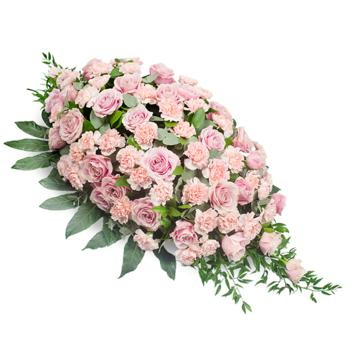 Against a clean white backdrop, a long, teardrop-shaped sympathy spray stretches diagonally, echoing the gentle slope of a casket lid or memorial plinth in one of Stanmore's peaceful chapels. The arrangement is lush and meticulously packed with blooms, dominated by soft pink roses that vary subtly in tone from very pale blush to muted rose, each flower composed of layered petals curling gracefully outward. Some roses are fully opened, revealing generous, rounded centres, while others are in more modest bloom, hinting at depth within. Nestled between and around these roses are lighter peach-pink carnations, their distinct ruffled petals giving the surface of the spray a textured, almost quilted appearance. Together, the roses and carnations create a continuous blanket of gentle colour that suggests tenderness and care. Surrounding this field of flowers is an abundance of rich green foliage: broader leaves create a low, sturdy base along the upper and side edges, lending structure and form, while finer, more delicate greens fan out and trail from the tapering lower right tip. This trailing greenery gives the design movement and grace, as though the arrangement is softly bowing in farewell. The neutral lighting in the image enhances every hue and texture without casting harsh shadows, making the interplay between pastel blooms and deep foliage particularly striking. One can imagine this tribute resting at a Stanmore funeral service near the station, or being delivered to a family home off The Broadway, where its presence would offer quiet comfort. Crafted as a funeral spray, it conveys a message of respect, condolence, and warm remembrance, created by experienced florists who understand the importance of thoughtful detail at such sensitive moments.
