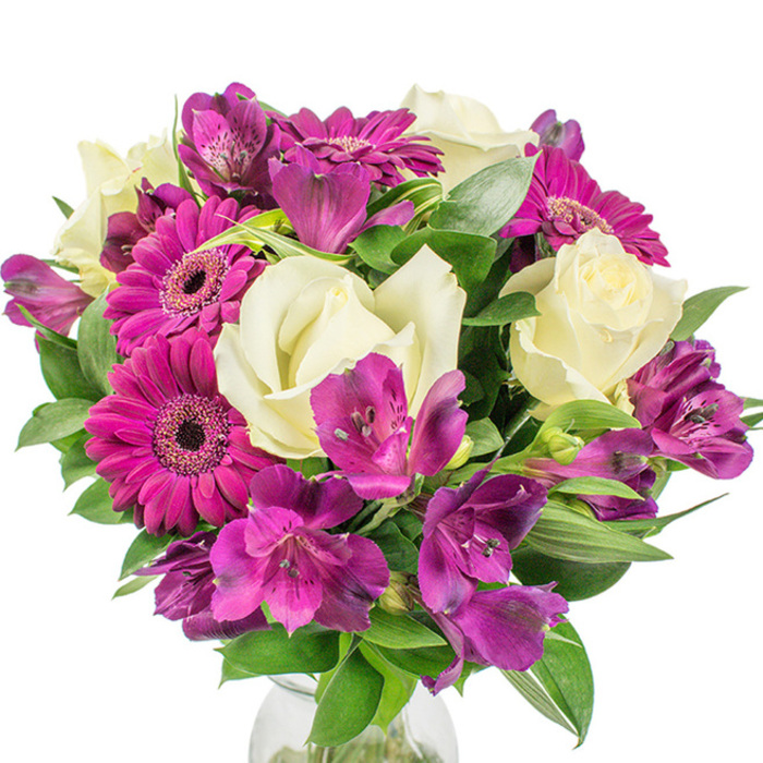 A professional, hand-tied round bouquet rests against stark white, its full-bodied silhouette the result of careful layering and attention to colour rhythm. Creamy white roses are scattered throughout, their petals tightly furled at the centre and gradually unfurling into smooth, velvety layers that convey a soft, timeless elegance; these pale blooms temper the brighter notes and lend the arrangement a calm, classic centre. At least three deep-magenta Gerbera daisies punctuate the bouquet with bold, radiant faces-each gerbera's flat, vivid petals radiate from a darker central eye, injecting immediate warmth and optimism into the design. Clusters of purple and fuchsia Alstroemeria, the Peruvian lilies, weave between the larger flowers, their trumpet-like forms often marked with subtle freckling that draws the gaze inward and adds a layer of intricate texture. The greenery-broad, shiny leaves and narrower, sculptural blades-frames the flowers and builds the generous volume, casting soft shadows that emphasize the rounded shape and the meticulous placement of each stem. A faint suggestion of a clear glass vase at the base anchors the bouquet and hints at the freshness of the stems beneath. The lighting is bright and even, making the magenta and purple tones sing against the neutral backdrop and evoking the approachable refinement you might bring to tea with friends near Stanmore High Street or to a small celebration in Canons Park. This bouquet reads as joyful, considered, and perfectly suited for gifting at birthdays, housewarmings, or as a thoughtful surprise that lifts a room's mood.