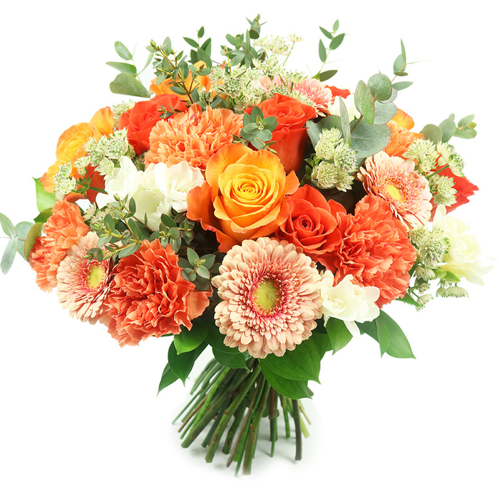 Set against a pristine white background, this luxurious hand-tied bouquet presents a harmonious blend of warm oranges, peaches and coral balanced with touches of white and cool green foliage. The arrangement is densely packed and perfectly rounded: several full, richly coloured roses provide strong focal points - a mix of fiery orange and softer golden-yellow blooms with petals arranged in tight spirals - while numerous coral and deep-orange carnations contribute a plush, ruffled texture that increases visual depth and volume. Interspersed gerbera daisies in soft peach and light orange reveal flat, open faces and subtle yellow-green centres that act as cheerful punctuation across the bouquet. Delicate clusters of small white filler flowers, possibly freesia or tiny spray blooms, scatter like sparks of light through the composition, adding moments of crisp white to offset the warmth. Sprigs of light-green, astrantia-like filler create a feathery, whimsical layer, and rounded eucalyptus leaves with silvery-grey tones are woven throughout to provide a cool, natural frame and a fragrant freshness.

The stems are gathered and bound at the base in a classic hand-tied style, making the bouquet ready for vase display or local delivery around Stanmore and neighbouring corners of Harrow. Crafted with a florist's eye for balance and texture, this arrangement conveys warmth, celebration and thoughtful care - ideal for birthdays, anniversaries or as a centrepiece that brings seasonal colour indoors. I picture it brightening a mantel in a home near Stanmore Broadway or being carried from a studio on Stanmore Hill to a grateful recipient, the bouquet's scent and tactile variety creating a small, memorable moment.