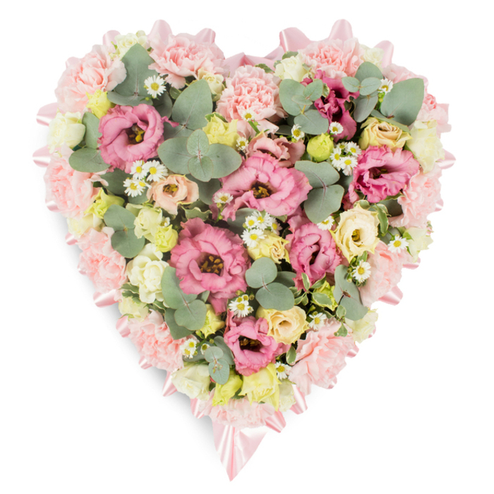 A soft, heart-shaped floral arrangement lies against a pristine white background, designed as a compassionate tribute for funerals or memorials in the Stanmore area. The heart's outline is carefully built from a dense ring of pale pink flowers, predominantly ruffled carnations and similarly rounded blooms, giving the border a plush, almost quilted appearance. Along this floral edge, a slender soft pink satin ribbon gently winds its way, glinting softly as it catches the light and gathering into neat bows at the top and pointed base of the heart, adding a sense of grace and formality. Within the heart, every inch is filled with flowers and foliage, so that the eye sees only layered petals and leaves. Pink lisianthus take pride of place, their velvety, ruffled blossoms in rose and blush tones adding richness and depth. Surrounding these focal blooms are clusters of creamy yellow and ivory spray roses or small lisianthus heads, their soft colours warming the palette and echoing the gentle light found in Stanmore's leafy residential streets. Tiny white daisies with golden centres are dotted throughout, bringing a hint of countryside charm reminiscent of wildflower edges around nearby open spaces. Interwoven among the flowers are rounded, silvery-green eucalyptus leaves and deeper green variegated foliage, which create contrast, subtle fragrance, and a sense of natural movement. The overall effect is peaceful, balanced, and lovingly composed, as if each stem has been placed with careful thought. Created by a skilled local team at Flower Delivery Stanmore, this heart-shaped tribute is ideal for expressing love, remembrance, and support, bringing a touch of soft beauty to a time of loss.