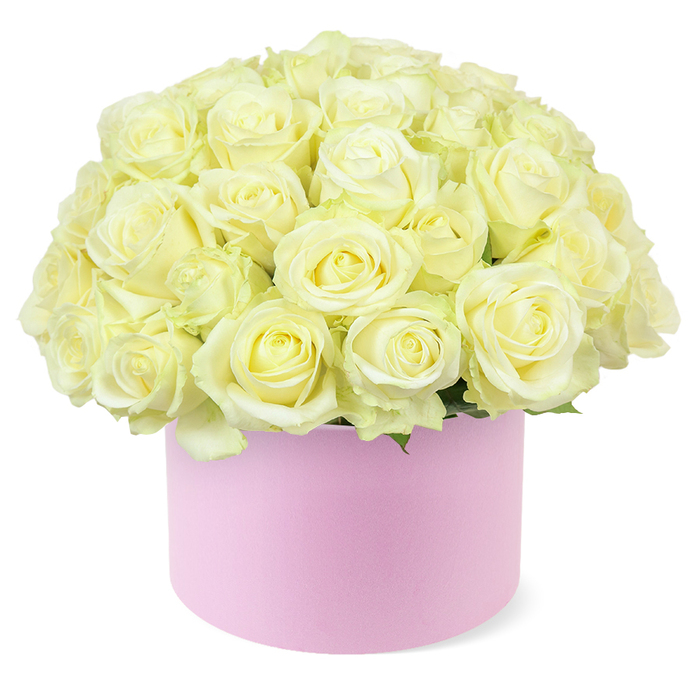 A rounded hat box in delicate pastel pink supports a lush dome of creamy white roses, presented against a bright white backdrop that accentuates the purity of the colours and the sophistication of the design. The arrangement is full and symmetrical, with each rose carefully placed so their open faces form a continuous, gently curving surface. The blooms themselves are at their peak, petals fully unfurled in layered spirals that create a velvety, almost cloud-like appearance. Their tones shift subtly from pale ivory and soft cream on the outer edges to a whisper of pastel yellow toward the centre of each flower, suggesting both freshness and a comforting warmth. Just beneath this abundant canopy of petals, delicate green foliage peeks out in small touches, lending an understated hint of garden life and depth. The hat box has a smooth, matte finish that feels luxurious but not showy, mirroring the calm elegance often associated with Stanmore's tree-lined streets near Canons Drive and Bentley Priory. Its blush pink hue provides a gentle visual contrast that makes the creamy roses appear even more luminous. The arrangement is lit evenly, with soft shadows defining each petal edge, capturing the craftsmanship of a florist who takes pride in balance and detail. It's easy to imagine this flower box on a polished sideboard in a Stanmore home, or gracing a restaurant table for an anniversary dinner along Stanmore Broadway. The overall impression is of refined romance and polished celebration-a sophisticated floral gift that conveys devotion and appreciation without needing elaborate decoration or bold colours.