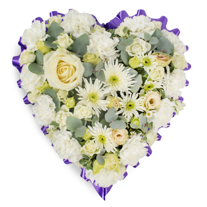 A carefully composed, heart-shaped floral tribute occupies a crisp white field, its palette of ivory, cream and pale green designed to communicate reverence and calm. The central touchstone is a single, large creamy-white rose whose concentric, velvety petals unfurl with quiet symmetry. Encircling the central rose are plush white carnations whose ruffled textures build the heart's volume and softness, creating gentle contours along the outer curves. Interspersed among these are white spider chrysanthemums-long, narrow petals that add a spiky, sculptural contrast-and numerous small button chrysanthemums whose lime-tinged centres bring subtle brightness. Scattered throughout the massed blooms are mini cream roses and clusters of closed lisianthus buds, introducing points of intimate detail and an impression of buds still holding memory within.

Blue-green eucalyptus leaves, with their cool, rounded forms and almost matte finish, are nestled between flowers to offer depth, gentle shadow and a faint, clean fragrance reminiscent of walks near Stanmore High Street or the green margins of Bentley Priory. A deep purple, ruffled ribbon frames the heart in a scalloped outline, its saturated hue providing a solemn punctuation that both defines and elevates the composition. The arrangement's dense layering and considered spacing reveal experienced floral technique-each bloom placed to balance texture, colour and emotional intent. Suitable as a funeral cushion or memorial heart, this piece expresses enduring love, peaceful remembrance and quiet dignity for families arranging services around Stanmore and nearby communities.