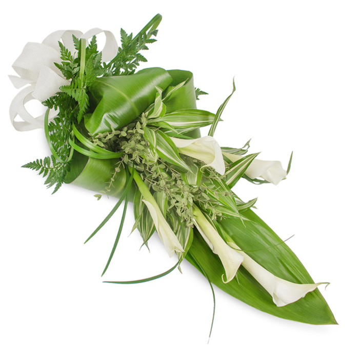 A sophisticated, elongated floral tribute of creamy white Calla lilies and a rich assortment of green foliage, composed on a stark white background and angled from the top-left toward the bottom-right so the eye travels along its graceful line. The lilies' smooth, trumpet-shaped blooms offer a refined focal point, their waxy petals catching a soft highlight that reveals subtle ivory and cool-white gradients. Beneath and around them, large glossy tropical leaves - some artfully curled and wrapped - form a sturdy, sculptural base; feathery fern fronds slip between stems to introduce delicate texture, while small, light-green, almost frothy sprigs fill negative spaces with a natural, hand-gathered feel. Variegated leaves with crisp green-and-white stripes lace through the middle, providing visual contrast and a lighter rhythm, and a few slim, blade-like grasses arch outward to accentuate the arrangement's sense of movement. The bouquet is finished at the upper-left with a generous off-white linen or burlap bow, its tactile weave offering a quiet, rustic elegance against the modern simplicity of the flowers. The overall impression is one of calm dignity and contemporary restraint - ideal for a wedding with minimalist styling, a dignified tribute at a local Stanmore chapel, or a tasteful focal piece for a celebration held near Stanmore Common. An experienced florist's touch shows in the balanced proportions and careful textural interplay, producing a design that feels both fresh-smelling and visually pure.