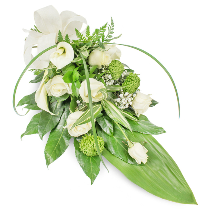 An elegant, elongated floral sheaf arranged in a classic teardrop silhouette, its palette deliberately restrained to tranquil whites and varied greens to express calm and remembrance. The design places several creamy white roses-some unfurled to reveal layered, satiny petals, others kept in compact bud form-alongside the architectural purity of white Calla lilies whose trumpet shapes punctuate the upper left quadrant with serene refinement. Bright lime-green button chrysanthemums are dotted throughout, their tight, almost pompon-like surfaces introducing a tactile, contemporary contrast to the soft roses. Fine sprays of baby's breath (Gypsophila) are woven between the larger blooms, creating an airy veil that softens transitions and adds a whisper of lightness. The foundational foliage is composed to read in depth: glossy, deep-green leaves give density, variegated leaves with white-striped edges bring visual brightness, and feathery fern fronds lift the arrangement at its crown. Two long, graceful blades of vibrant green foliage arc over the composition, adding dynamic movement that guides the gaze toward the tapered lower right end, completed by a broad, smooth bright-green leaf that forms the sleek pointed tail. A tasteful cream fabric bow at the top left lends a formal, consoling accent. Photographed under gentle, diffused lighting that highlights surface textures-velvet rose petals, polished leaves, mossy chrysanthemum heads-this refined sympathy bouquet feels composed for a funeral or memorial setting, suitable for placement near a casket or service at a Stanmore chapel or place of remembrance, offering quiet dignity and thoughtful floral craftsmanship.