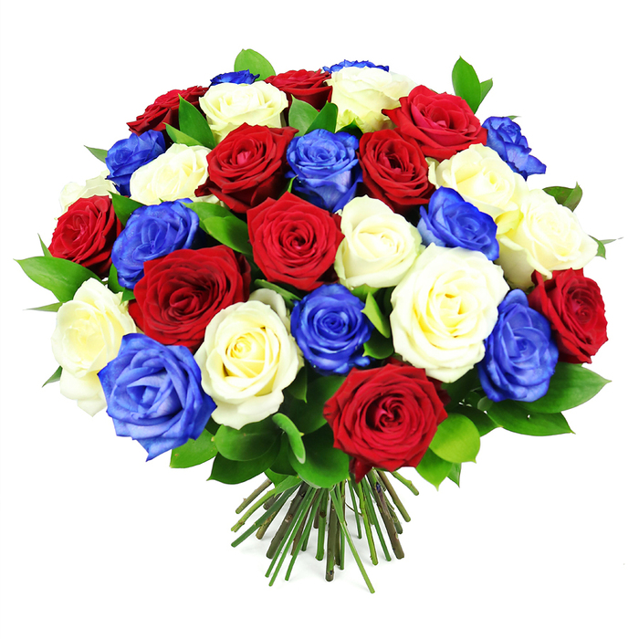 A vivid, dome-shaped bouquet of roses in rich red, pure white, and royal blue stands out prominently against a stark white background, giving the arrangement the clean, distinguished presence of a portrait taken in a light-filled Stanmore studio. The bouquet appears generously sized, holding around thirty to forty roses, each bloom tightly nestled against its neighbour to form a smooth, rounded silhouette. The red roses are a classic crimson, their petals thick and velvety, while the white roses bring a creamy brightness that softens the overall look. The blue roses, a saturated sapphire tone, introduce a rare and eye-catching twist, reminiscent of the clear evening sky above Stanmore Country Park on a crisp night. Interspersed among the blooms, small slivers of dark green foliage are just visible, perfectly trimmed and polished, adding a natural counterpoint to the strong, patriotic colour scheme without overwhelming the flowers. At the base, a compact bundle of straight stems is firmly secured, the cut ends perfectly level, suggesting a skilled florist's precise work, ready to be delivered to homes along Marsh Lane or near Stanmore Golf Course. The lighting is bright yet gentle, with no harsh glare, allowing subtle highlights on the petal edges and faint shadowing within the dome to enhance texture and depth. This bouquet feels ideal for moments of national pride, remembrance ceremonies, or significant family celebrations in Stanmore, expressing unity, gratitude, and admiration through its harmonious balance of colours. It is at once bold and refined, a floral piece that would look equally at home on a formal commemorative table or as a dramatic centrepiece in a local Stanmore dining room.
