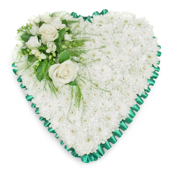 A beautifully balanced heart-shaped floral tribute is photographed against a spotless white background, allowing every detail of the arrangement to be clearly seen. The heart itself is outlined by a band of emerald green satin ribbon, meticulously pleated so that it forms a delicate, scalloped border. This ribbon catches the light with a soft sheen, providing a refined frame that contrasts with the more velvety textures inside. Within this border, the heart is entirely composed of white chrysanthemums, each blossom closely nestled against its neighbour. Their small, layered petals create a plush, almost quilted surface that looks both gentle and comforting, much like the sense of stillness that settles over Stanmore's local chapels during a moment of remembrance. The colour palette is restrained-predominantly white and green-yet the design feels rich due to the variety of textures and forms. In the upper left section of the heart, an accent cluster provides a focal point. Two creamy white roses, fully open but still crisp at the edges, sit at the centre of this grouping. Their spiralling petals give an impression of depth, like a quiet conversation unfolding. Around them, smaller white flowers and buds add fine detail. Deep green leaves provide structure, while slender, feathery fronds arch gently over the chrysanthemums, softening the boundary between the focal cluster and the main body of the heart. The lighting is soft, with no harsh shadows, enhancing the sense of calm. This floral heart would be a fitting choice for a Stanmore funeral or memorial service, or as a graveside tribute, speaking of love, respect, and cherished memories held close across the years.