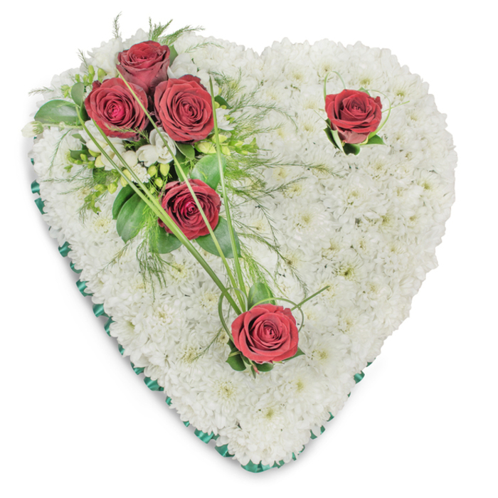 A classic heart-shaped sympathy wreath made entirely from tiny, snow-white chrysanthemums that create a dense, soft-textured foundation, presented against a plain white background to accentuate every petal and shadow. On the upper left a compact spray of three luxuriant deep red roses gathers with emerald-green foliage and ferny, airy fronds, their shapes contrasted by a scattering of small white filler flowers and long, bright green bear grass strands that sweep outward, adding an elegant, graphic movement. Two further crimson roses are placed individually - one near the right curve and one toward the bottom tip - each accompanied by minimal green accents that let the rich scarlet speak quietly against the white field. A narrow, deep green satin ribbon borders the heart, giving the piece a measured, finished silhouette and a subtle sheen that catches the light. The overhead illumination is soft and even, revealing the chrysanthemum bed's cushion-like depth and the roses' velvety texture while casting gentle, flattering shadows. There is a restrained scent suggested by the mix of foliage and flowers: green, faintly sweet, and calm. This arrangement reads as a traditional, respectful memorial - suitable for a funeral service in Stanmore, at local churches or at Bentley Priory - and reflects the careful hand of a florist attentive to proportion, colour contrast and the quiet language of sympathy.
