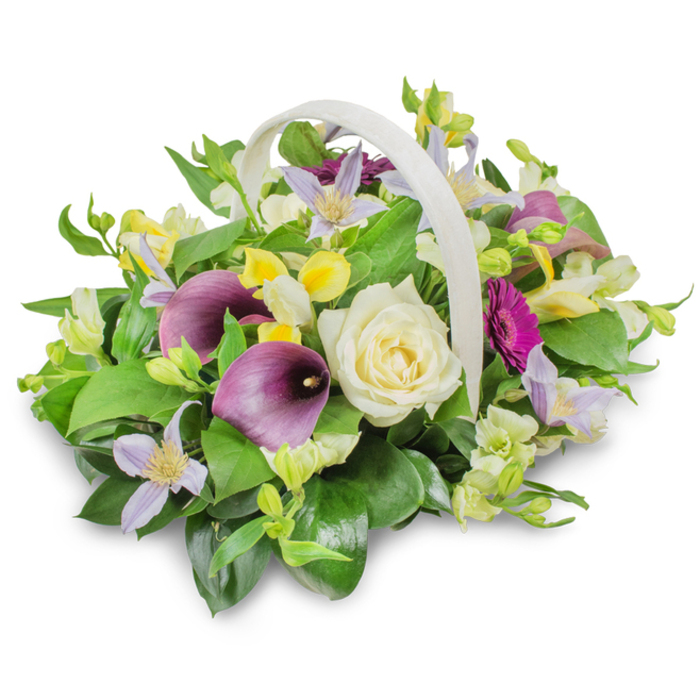 In this softly lit studio photograph, a funeral basket arrangement takes centre stage against a brilliant white background, every detail of the design standing out with clarity. The basket is woven in a pale, cream tone, with a prominent curved handle that rises above the flowers, echoing the gentle arc of a comforting embrace. At the core of the display is a single, large creamy white rose, its tightly layered petals forming a serene, focal bloom that suggests purity, remembrance, and peace. Beside it, two deep purple calla lilies extend their smooth, trumpet-like spathes, the velvety richness of their shade adding a sense of solemn beauty, similar to the quiet atmosphere you might feel walking past the green spaces around Stanmore Country Park. Woven throughout the arrangement are delicate clematis flowers in pale lilac and soft lavender, each with star-shaped petals and a hint of yellow at the centre, providing a light, airy contrast. Clusters of small yellow, freesia-like blossoms are tucked into the foliage, adding glimmers of gentle warmth that suggest hope and shared memories. On the right edge, a vivid magenta gerbera daisy emerges, its ring of slim petals forming a cheerful disc of colour that honours the individuality of the person being remembered. The blooms are supported by a luxuriant collar of green foliage-broad, glossy leaves and finer, lighter green sprigs-that forms a rounded, abundant mound. A soft shadow beneath the basket grounds the image, making it feel as though the tribute has just been set down in a quiet room before a service. Crafted in a style often requested by families in Stanmore and the nearby residential streets, this arrangement offers a tasteful, uplifting expression of sympathy and respect.