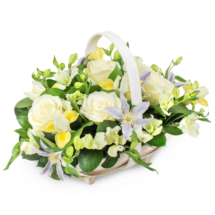 This softly lit image shows a refined sympathy flower basket, isolated against a pure white background so that every gentle hue and texture can be clearly imagined. The basket is made from light beige wicker, its weave neat and slightly rounded, with a matching handle that curves smoothly above the arrangement like a gentle archway. Filling the basket is a lush, domed display of fresh flowers that seem to glow from within. Dominating the design are several large, creamy white roses, their velvety petals open wide, creating classic, rounded blooms that speak of purity, tenderness, and farewell. Between these roses, you can picture star-shaped clematis blooms in pale lavender and soft periwinkle blue, their pointed petals delicately framing vivid yellow-green centres, a small but striking contrast that adds depth and complexity to the palette. Clusters of white and pale yellow freesia-type flowers, some still tightly closed, weave in and out of the larger blooms, adding a sense of motion, light fragrance, and gentle optimism. Subtle highlights of bright yellow appear here and there, always softened by the surrounding creamy whites. All of this is supported and framed by an abundance of deep green foliage-broad glossy leaves, slender stems, and lighter green accents-that creates a natural, garden-like feel. The arrangement evokes a calm walk through Stanmore's quiet avenues near the Broadway or a reflective moment by the trees in Canons Park. It feels particularly suited to funerals, memorials, and sympathy deliveries, where the balance of softness, light, and dignity helps bring comfort and a sense of peaceful remembrance.