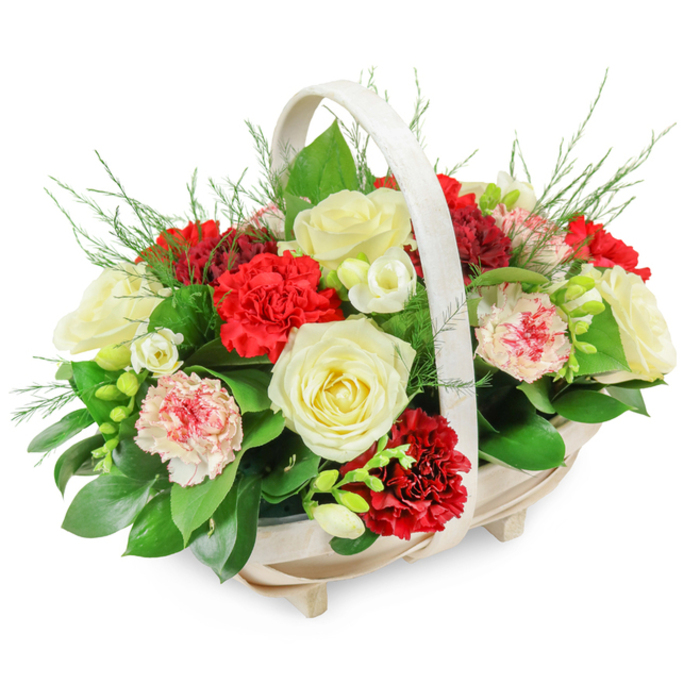 A classic red and white funeral flower basket is captured in a bright, uncluttered setting, its colours and textures standing out with quiet clarity. The arrangement is built in a light, natural-wood basket with a softly curving oval shape, the slats of the wood visible and neatly crafted. Four little feet lift the basket just off the surface, giving the piece an elegant, structured base. From one side to the other, an ivory-toned handle arches in a smooth, continuous line, framing the flowers and adding a traditional touch often seen in sympathy tributes. The blooms themselves form a lush, rounded dome that gently overflows the rim. Several creamy white roses, fully open and velvety, form the focal points; their layered petals are arranged in classic rosette shapes that convey reverence and peace. Around and between them, red carnations with deeply ruffled petals add rich colour and depth, their intense tone evoking strong, heartfelt love. Soft pink and bi-coloured carnations, some with white centres and red or pink edges, are woven throughout, providing gentle variation and a feeling of tenderness. Scattered among the larger blooms are smaller white flowers, likely freesias, their slender stems and bell-shaped blossoms adding delicacy and a subtle sense of fragrance. The composition is anchored by generous dark green foliage, including glossy leaves resembling ruscus or salal, which cradle the flowers and create contrast. Fine, feather-light fronds-similar to asparagus fern-lift from the top and edges, softening the silhouette and giving it a natural, airy finish. This kind of arrangement would be appropriate for funeral services in Stanmore, whether placed near the coffin at Breakspear Crematorium or positioned by a lectern in a local church or temple, offering a gentle, respectful tribute.