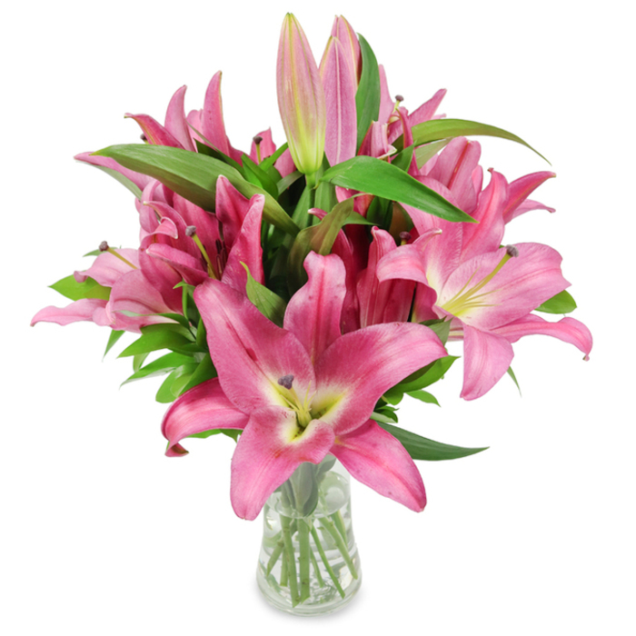 An elegantly composed studio photograph of a generous bouquet of pink Oriental lilies, captured to showcase colour depth, texture and bloom stages for discerning local customers of Flower Delivery Stanmore. The arrangement sits in a plain clear glass vase against a pure white backdrop; dozens of large, star-shaped blossoms display saturated fuchsia and rosy tones that transition toward pale, chartreuse-yellow throats and creamy centers. Dark burgundy stamens heavy with pollen create a compelling centre contrast in each open flower, while multiple elongated buds-some with green-tinged tips, others still tightly furled in paler pink-promise continued unfolding over several days. Lush, erect green leaves with a glossy surface weave through the composition and provide a verdant frame for the vivid blooms. The vase's transparency reveals neatly cut stems and sparkling water, details a professional florist would check before same-day delivery across Stanmore and surrounding streets near Stanmore Station or Stanmore Hill. The lighting is soft but bright, emphasizing petal translucence and the waxy, almost fruit-like texture of the petals; the bouquet seems to exude a gentle, sweet fragrance that invites close attention. This portrait balances botanical accuracy with emotional warmth-suitable for content about floral gifting, sympathy tributes, Mother's Day bouquets or seasonal studio photography-and speaks to the quality and freshness our neighbours expect from local floral service. It reads as both a practical reference for flower care and a visual promise of thoughtful presentation.