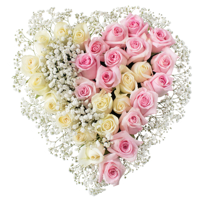 A large, romantic heart-shaped floral tribute composed entirely of roses and baby's breath is set against a stark white background, allowing every detail of the design to be seen clearly. The heart is perfectly symmetrical and divided straight down the centre into two distinct yet harmonious halves. On the left, an opulent spread of creamy white and light buttery-yellow roses sits tightly packed, their petals unfolding in soft curls that overlap slightly, creating a velvety, cushion-like effect. The variation in tone from warm ivory to pale lemon gives this side a subtle glow, reminiscent of soft morning light filtering through Stanmore's quiet residential streets. On the right, the same dense, uniform structure is recreated with medium pink roses, their colour richer yet still gentle, bringing a feeling of tenderness and heartfelt affection. Each pink bloom appears fully open and fresh, with neatly layered petals that add depth and richness to the arrangement. Woven throughout both halves, clouds of tiny white gypsophila, or baby's breath, fill any small gaps, concentrating along the central division and around the outer contour of the heart. This creates a delicate, mist-like border that softens the strong lines and makes the heart appear to float. There is an absence of leaves, ribbons, or additional ornamentation, keeping the tribute simple, refined, and focused solely on the roses. It is easy to imagine this floral heart being delivered by Flower Delivery Stanmore to a local funeral at a church off Marsh Lane or a memorial near Stanmore Country Park, silently expressing love, remembrance, and respect from family and friends.