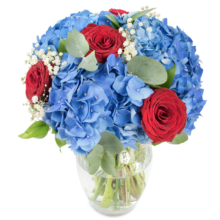 An expertly balanced bouquet is displayed in a clear, gently curved glass vase, photographed against a pristine white background that emphasises the saturated colours and delicate textures. Dominating the composition are large, billowy clusters of azure blue hydrangeas whose multitudinous small petals overlap to form a voluminous, cushion-like canopy; the blue carries a crisp, slightly cool tone reminiscent of clear skies. Contrasting this cool expanse are three deep red roses, their velvety petals tightly wound into classic spirals that read as concentrated notes of passion and refinement. Scattered throughout are fine sprays of white baby's breath (Gypsophila), airy and luminous, lending a soft, lace-like texture that lifts and lightens the visual weight of the larger blooms. Muted, rounded eucalyptus leaves with their softly reflective surfaces and gentle green tones are woven into the bouquet, providing depth, structure and a faint herbal aroma. The vase's rounded base and tapered top reveal trimmed green stems submerged in water, a visual cue of freshness and attentive floristry. Bright, natural lighting washes over the arrangement, bringing out subtle veining and petal translucence. This composition feels equally suitable as a centerpiece for a small gathering near Stanmore Common or as a thoughtful gift delivered to someone on Lordswood Road or around the Bentley Priory area; it suggests celebration, heartfelt admiration or a refined patriotic sentiment. The interplay of cool blue, passionate red and pure white creates a timeless, uplifting presence that both calms and enlivens the room.