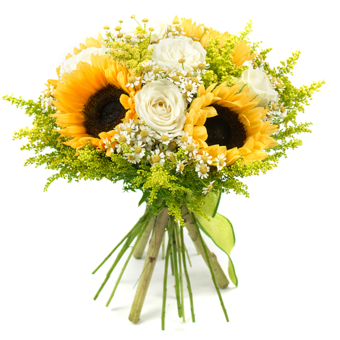 Against a flawless white background, this vibrant bouquet appears almost to float, its colours and shapes standing out with crisp clarity, as though just completed on a workbench in a Stanmore flower shop. Several large sunflowers serve as the main focal point, their richly textured, dark brown centres surrounded by multiple layers of wide, golden-yellow petals that curve outward and slightly upward, giving a strong, radiant presence. Threaded gracefully among these bold blooms are elegant white roses, their petals thick and velvety, spiralling inward in tight, sculpted whorls that reveal subtle hints of ivory within the creamy white tones, bringing refined beauty to the composition. Between the main flowers, numerous tiny white daisy-like blossoms appear, reminiscent of chamomile or feverfew, with simple rounded petals and small yellow discs at their centres, lending a light, informal touch that feels as if the bouquet could have been gathered from a cottage garden near Stanmore Hill. A halo of bright lime-green foliage surrounds and interweaves through the flowers, similar to fine solidago or other airy filler, with delicate stems and tiny buds adding both texture and depth while enhancing the sense of freshness. The bouquet is finished with long, natural stems gathered tightly and bound close to the base with a smooth lime-green ribbon that wraps firmly around the bunch, its colour echoing the vivid greenery and tying the whole design together visually. The final effect is one of joyful abundance and relaxed sophistication, suitable for summer celebrations, rustic wedding décor in and around Stanmore, or a thoughtful delivery to brighten a friend's home near Canons Park with a message of optimism and gratitude.
