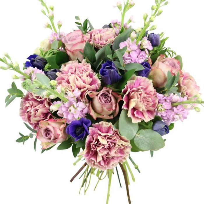 Against a bright white backdrop, this abundant bouquet appears as a composed burst of colour and texture, a style often requested by Stanmore families wanting something romantic yet contemporary. At the heart of the design, large garden roses bloom in soft blush pink, dusty rose, and gentle mauve, their tightly layered petals unfurling in a classic spiral that hints at traditional English rose gardens. Surrounding these focal blooms, plush carnations provide generous fullness; each flower shows a gradient of tone, moving from creamy beige or very pale pink centres to richer rose, fuchsia, or plum-coloured, delicately ruffled edges, creating depth and a feathery softness. Interwoven among the pinks, stems bearing deep indigo-blue buds-resembling closed tulips or smaller anemones-bring a sophisticated, jewel-like contrast. Near the lower front of the bouquet, a single royal blue anemone is fully open, its velvety petals framing a dark, almost black centre that immediately anchors the eye. Rising gracefully through the composition, pale lavender and lilac stock flowers appear in clustered spires, adding gentle vertical movement, airy texture, and a suggestion of sweet, powdery fragrance reminiscent of spring evenings along Stanmore Hill. The design is surrounded by a generous collar of foliage: rounded silvery eucalyptus leaves, with their cool blue-green tones, mingle with darker, glossy greenery, shaping the bouquet and lending a refreshing, aromatic note. The stems are gathered tightly at the base, clearly visible and hand-tied, ready to be placed directly into a favourite vase on a Stanmore dining table or coffee table. The arrangement's palette of romantic pinks, tranquil purples, vivid blues, and fresh greens makes it an ideal choice for weddings, anniversaries, milestone celebrations, or a thoughtful delivery to bring a touch of elegance to any Stanmore home.