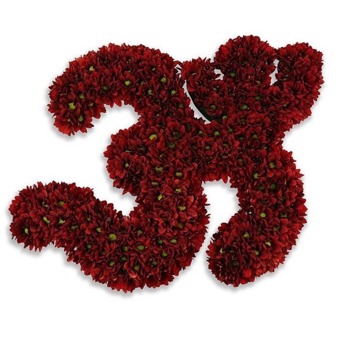 A meticulously formed number '33' made entirely from densely clustered button chrysanthemums sits crisp against a white surface, its presence both celebratory and respectfully composed. Every curve of the twin threes is built from hundreds of small, deep burgundy-red blossoms whose velvety petals overlap to produce a plush, almost textile-like plane. Here and there tiny green centres peek through like secret accents, enlivening the crimson mass and adding a natural contrast that enhances the overall texture. The lighting is soft and even, and a pale gray shadow beneath suggests the numerals hover slightly - an effect that grants dimensionality without distraction. In my experience crafting such pieces for families and events around Stanmore - from birthday parties near Stanmore Tube to memorial services at local venues close to Canons Park - this floral number reads as an emblem of milestone and memory: a 33rd birthday, a meaningful anniversary, a sporting jersey tribute, or an understated commemorative display. Prepared with the care shoppers expect from Flower Delivery Stanmore, the composition communicates dignity and celebration in equal measure, suitable for both joyful gatherings on the High Street and quieter remembrances on Watling Avenue. Imagining it up close you might sense the faint, clean scent of fresh chrysanthemums, the soft give of petals under fingers, and the steady reassurance that each blossom has been placed to honour a specific name or moment.