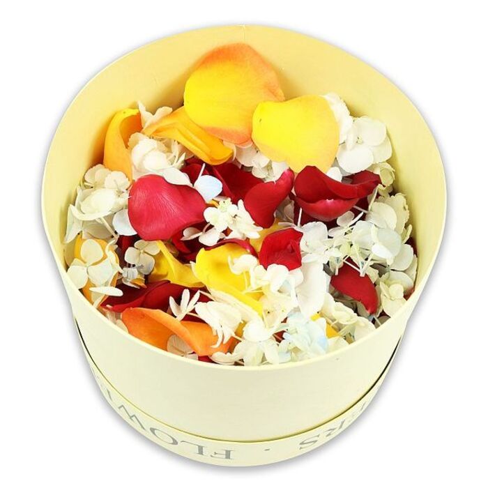 This photograph centres on a round, cream-yellow hatbox of dried petals, presented against a pristine white backdrop that allows every colour and curve to stand out. The box itself is simple and elegant, a smooth cylinder with a faintly embossed word FLOWERS circling the upper rim, visible only when the light catches its subtle relief. Seen from a slightly elevated angle, the container appears full to the brim and gently mounded, the petals forming a softly textured hill that suggests abundance without excess. Within the box, the dominant visual impression comes from velvety, deep crimson rose petals, each one carefully preserved, their curled edges and layered surfaces hinting at softness and quiet depth. Interspersed throughout are bright yellow petals and warm peach-orange tones, adding a luminous warmth that balances the intensity of the red, much like the reassuring glow of sunset over Stanmore Hill after a difficult day. Threaded delicately into this sea of colour are countless tiny hydrangea florets, primarily white with the lightest suggestion of powder-blue at their centres. These papery, four-petalled blooms add a fine, airy texture, softening the overall effect and giving the arrangement a sense of gentle movement. The petals look crisp yet tender, as if they would produce a soft, comforting rustle when gathered in the hand for scattering or decoration. Without any additional objects or background distractions, the image communicates quiet dignity and reflection. This curated selection of dried rose and hydrangea petals would be fitting to use as natural confetti for a funeral procession, to frame a memorial photograph at a service in Stanmore's churches or synagogues, or to bring a touch of understated floral beauty to a remembrance corner at home.
