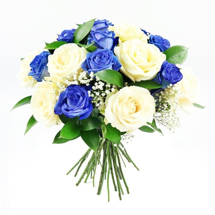 A beautifully balanced bouquet of roses in deep blue and creamy ivory stands out vividly against a seamless white background, its rounded shape and thoughtful composition giving it a dignified, calming presence. The bouquet features an equal blend of sapphire blue roses and soft cream roses, each bud carefully placed so the colours echo one another in a gentle, alternating pattern. The blue roses are intense and velvety, their petals layered in tight spirals that form rich, full blooms, while the cream roses open more softly, their petals curling outward in luminous, ivory layers. Tiny clusters of white baby's breath are scattered delicately among the roses, bringing an airy, ethereal texture that lightens the overall look and draws attention to the contrast between the larger blooms. Around the outer edge, dark green foliage forms a subtle collar, the leaves smooth and glossy, framing the roses much like the greenery framing the quiet streets and gardens of Stanmore. Below the domed head of flowers, the stems are visible, neatly gathered and tied in classic hand-tied fashion, as if ready to be placed in a favourite vase or gently laid as a tribute. The bouquet is lit with clear, even light that enhances every tone and texture, from the shadowed depths at the centre of the blue roses to the soft highlights along the cream petals and delicate gypsophila. This arrangement's calm palette and refined design make it particularly appropriate as a sympathy bouquet for Stanmore families seeking to express respect, remembrance, and gentle support during times of loss.