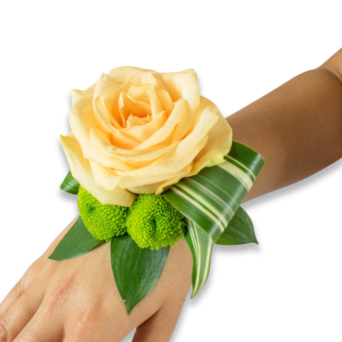 A freshly made wrist corsage is photographed against a bright white backdrop, resting on the inner forearm and hand of someone with a warm, light-to-medium brown skin tone. At its centre lies a sumptuous rose in pale peach or champagne hues, each soft petal layered to create a classic, romantic bloom that feels both tender and refined. Below the rose two vivid lime-green button chrysanthemums (pompom mums) provide a striking textural counterpoint: tight, spherical clusters of tiny florets that add a cheerful, energetic pop against the rose's serene palette. Supporting foliage is abundant and expertly placed - broad dark-green leaves, likely ruscus or salal, form a lush foundation while small sprigs tuck in to add depth and movement. A variegated leaf with crisp white stripes and green bands has been artfully curled and folded to sweep from beneath the bloom toward the wrist, lending a sculptural, contemporary accent that frames the hand elegantly. The corsage is secured invisibly beneath the leaves so the focus remains on the flowers and form. As a Stanmore florist I imagine this worn on a bride's wrist before a ceremony near Stanmore station or carried to a reception on The Broadway; Flower Delivery Stanmore often crafts similar pieces for local proms and intimate weddings. The overall impression is one of soft romance, fresh fragrance, and considered craftsmanship - a wearable miniature bouquet that celebrates a special moment with warmth and refined style.