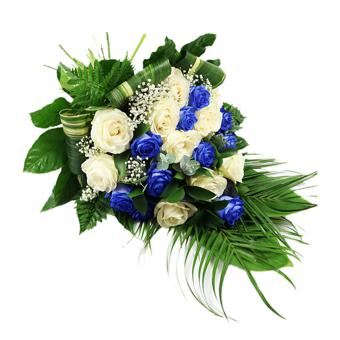 A luxurious, cascading rose spray in shades of blue and white is displayed against a spotless white background, its elegant teardrop form stretching diagonally like a gentle arc of remembrance. At the centre, numerous full-headed roses are gathered tightly together, each bloom open to its fullest, revealing the soft spirals of velvety petals. Deep sapphire blue roses are evenly interspersed with creamy white and ivory ones, so that pockets of colour appear and disappear as the eye travels along the arrangement. This blending of tones gives the spray a calm, steady rhythm, often chosen for dignified funerals and memorials in Stanmore and the surrounding residential streets off Stanmore Broadway. Between the larger blooms, airy tufts of white baby's breath emerge on fine stems, their tiny, clustered blossoms forming a delicate haze that lightens and softens the mass of roses. Surrounding the flowers is a rich frame of foliage, layered and sculpted with the eye of an experienced florist. Dark green, glossy leaves sit close to the stems, providing structure and a sense of depth, while feathery, bright green fern fronds extend from the top portion, creating a soft halo effect around the upper edge. From the lower right corner, long, narrow palm fronds sweep downwards and slightly outward, giving the arrangement its signature cascading line and a feeling of gentle, downward movement. Subtle sprigs of bluish-green, eucalyptus-like foliage are tucked among the leaves and blooms, adding cooler notes and fine variations in leaf shape. Several broad leaves are artfully folded into striped green-and-cream bands and woven horizontally through the base, contributing a tailored, contemporary detail. The resulting design feels polished yet compassionate, a fitting floral tribute to honour a loved one's memory at services and wakes across Stanmore.