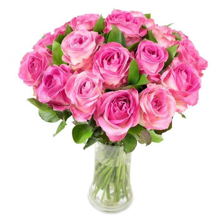 A meticulously composed arrangement of approximately two dozen pink garden roses, densely clustered to form a plush, domed mass, sits in a curved clear glass vase that narrows mid-body before flaring at top and base. Each rose displays a vivid colour transition: a concentrated fuchsia or magenta in the tightly wound centre that graduates through warm pinks to pale blush and occasionally a creamy ivory on the outermost petals, creating a layered, painterly gradient across the bouquet. The spiral centres are visible on many blooms, revealing classic rose geometry, while the smooth, glossy leaves - deep green and evenly spaced - punctuate the mass of colour and provide natural texture and depth. Through the transparent vessel the cleanly cut stems are neatly arranged and submerged in clear water, which reflects light and reinforces the impression of newly cut freshness. The lighting is bright and even, accentuating contours and the velvet-like surface of each petal; highlights and soft shadows work together to make the composition feel both tangible and refined. As a florist at Flower Delivery Stanmore I often prepare this style for special occasions around Stanmore tube, Stanmore Broadway and nearby Canons Park - a timeless choice for anniversaries, Mother's Day, or as an intimate wedding table piece - because its colour harmony and full form communicate affection with understated elegance.