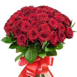 A sumptuous cluster of more than fifty red roses forms this striking bouquet, each bloom meticulously arranged by an experienced florist near Stanmore's leafy streets. The dome is rich and full-velvety petals spiralling outward in a harmony of ruby, scarlet, and deep garnet, softly merging as gentle natural light enhances the bouquet's layered complexity. Nestled among the blossoms, deep green leaves unfurl, polished to a satiny finish that amplifies the lush red above. The gathered stems are bound firmly at the base by a vibrant red satin ribbon, expertly looped and fashioned into a dramatic bow whose long, trailing ribbons add a festive air reminiscent of celebrations around Stanmore's picturesque Bernays Gardens. The imagined scent is alluring: heady, fresh, and reminiscent of morning market strolls on Church Road. Every detail, from the intricate petal structure to the artful bow, speaks of professional skill and heartfelt intention-making this the perfect choice for a romantic declaration, a special anniversary, or a grand birthday gesture in Stanmore and its neighbouring communities. It's a bouquet designed to illuminate life's precious milestones and reflect the care and tradition that Stanmore's families value.