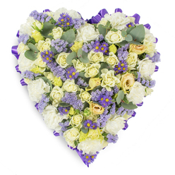 Presented on a pristine white backdrop, this heart-shaped sympathy arrangement is a study in delicate contrast and gentle craftsmanship, arranged by Flower Delivery Stanmore with the steady hand of a local florist who knows the pace of life around Stanmore Broadway and Canons Park. From the centre outward, closely set cream and pale yellow roses create a soft, layered texture-buds and half-open flowers that suggest tenderness and lasting affection-while white carnations nestle between them, their frilled petals adding comforting volume and a familiar, traditional presence. Flecks of lavender statice float through the design like memory-springs, their tiny clustered blooms offering an airy, contemplative quality, while cheerful purple aster-like flowers with bright yellow centres give measured, lively punctuation to the otherwise hushed palette. Blue-green eucalyptus leaves, rounded and silvery, punctuate the composition and introduce a clean, aromatic note that would be felt when standing close to the tribute. A rich purple satin ribbon is carefully looped around the heart's rim, providing a formal, finished border that emphasizes the piece's shape and purpose. Under soft studio illumination the colours resolve with clarity-the creams warm, the lavenders cool-and the overall effect is one of peace and restrained elegance. Designed specifically for memorials, funerals, and graveside services, this arrangement speaks of enduring love, quiet dignity, and community care, the sort of floral language familiar to neighbours arriving from Stanmore tube or Bentley Priory Road for a service.