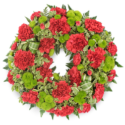 A traditional funeral wreath, perfectly round and visually complete, is placed against a clean white background that highlights its thoughtful blend of deep red and fresh green. The main body of the wreath is composed of countless red carnations, arranged closely so that their ruffled petals overlap and interlock, creating a rich, velvety texture that circles seamlessly from top to bottom. Each carnation, from the more open blooms to the slightly tighter buds, contributes to a gentle sense of movement and life within the ring. Interspersed among the red are compact lime green button chrysanthemums, their neat, spherical shapes and densely packed petals forming bright, modern accents that catch the light. These fresh green notes give lift and contrast, bringing a subtle energy that balances the more traditional red. Beneath and between the flowers lies a bed of greenery: dark, feathery leatherleaf fern adds depth and a sense of structure, while variegated pittosporum, with its cream-edged leaves, introduces lighter tones that soften the transitions between blooms. A band of striped green ribbon is woven quietly into the foliage, its gentle loops confined to one side of the wreath, like a discreet bow that respects the solemn nature of the tribute. Soft, even lighting and the stark white backdrop make the colours feel crisp and true, with a faint shadow lending the wreath a three-dimensional presence. It is easy to imagine this arrangement resting on an easel at a funeral service in Stanmore, perhaps near St John's church or a chapel around Stanmore Hill, conveying compassion, respect, and a dignified farewell to a loved one.