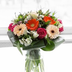 Soft natural light streams gently across the surface of this vibrant bouquet, delivering a crisp, invigorating aura to a classic Stanmore arrangement. Flashes of orange and creamy peach from the gerbera daisies bring energy and optimism, reminiscent of cheerful afternoons in Stanmore's verdant gardens. Deep-magenta roses bring heart and a touch of intrigue, their winding petals hinting at stories and bonds as enduring as the neighbourhood's sense of community. Lily-like white alstroemerias and clusters of petite white blooms add depth, freshness, and a sense of new beginnings-perfect for occasions marked with hope or gratitude. At the bouquet's base, glossy aspidistra leaves are meticulously folded and layered to create a protective, organic frame. Lush sprigs of greenery fill any openings, contributing to the harmonious volume and lively movement within the arrangement. The clear glass vase reveals sturdy, intertwined stems, symbolising the connection between florists and the people of Stanmore. Whether celebrating a well-earned accomplishment or just brightening someone's day, this bouquet stands as both artful centrepiece and heartfelt offering, thoughtfully crafted by local hands with a nod to Stanmore's beauty.