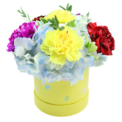 Presented in a round pastel yellow gift box and set against clean white, this arrangement reads as a studied celebration of colour and texture. At its heart are two large, fluffy yellow carnations whose ruffled petals range from pale lemon to sunlit gold, creating an immediate focal point. Encircling those central blooms are abundant clusters of soft periwinkle hydrangea-each tiny blossom contributing to a cool, cloud-like base that offsets the warmth of the carnations. On the left, a vivid magenta carnation adds a spirited burst; on the right, a deep, velvety crimson carnation brings a grounding richness. Here and there, delicate green foliage threads through the composition, offering subtle contrast and a natural finish to the dome-shaped silhouette.

The cylindrical box is integral to the design: a gentle lime-yellow paperboard adorned with whimsical pastel spots in light blue, soft pink and pale green, some with tiny white speckles. Those decorative dots lend a playful, almost nostalgic character-perfect for springtime gestures or seasonal celebrations. The overall arrangement conveys freshness and thoughtful curation; you can almost sense the tactile quality of the petals as light brushes across their ruffled surfaces and the faint, warm spice of carnations lingers in the air.

As a local florist's piece, it's an ideal gift for birthdays, anniversaries, or to brighten a flat on or near Stanmore Broadway or a cosy home by Stanmore tube station-fi nished and boxed to be easily carried, displayed, and enjoyed where neighbours and friends in Stanmore will notice and appreciate its cheerful presence.