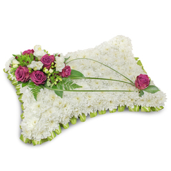 Rendered against a pure white field, this floral pillow is a carefully composed expression of comfort: a dense bed of pristine white chrysanthemums forms the serene foundation, each tiny floret creating a cloudlike surface that invites the eye to rest. Nestled into the upper-left corner, a small but vivid cluster of deep magenta roses-rich, velvety and fully opened-brings warmth and intimacy to the design, while interspersed creamy-white freesias or lisianthus offer airy highlights and a soft perfume that lifts the overall quiet mood. Lush emerald foliage, from delicate fern fronds to broader glossy leaves, frames the accent cluster and adds a natural backdrop that deepens the contrast with the white cushion. Three slender stems of bright green linear foliage, likely bear grass, arc gracefully across the pillow, their flowing lines creating a sense of movement and gentle directionality toward a single matching magenta rose tucked into the lower-right corner. The perimeter is finished with a folded lime-green satin ribbon forming a scalloped trim, its subtle sheen giving a polished, comforting edge to the tribute. Soft studio light emphasizes textures-the matte chrysanthemum bed, the velvet of the roses, and the satiny ribbon-while a faint shadow beneath the piece anchors it mentally on a tabletop or service plinth. As a Stanmore-based florist with many quiet deliveries near Stanmore Broadway and Stanmore station, I imagine this arrangement offered to families seeking a dignified, tender expression of sympathy and remembrance.