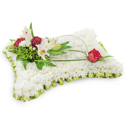 Presented on a pure white backdrop, this rectangular sympathy pillow is a study in quiet textures: countless tiny white chrysanthemums are arranged so closely they form a plush, cloud-like surface that invites the eye to rest. A pleated ribbon in a soft lime-green frames the cushion like a gentle inhale, its satin sheen adding a refined, fabric-like edge. At the top-left corner, a cluster of accent blooms creates the arrangement's emotional focal point - two elegant white Oriental lilies open to show their golden stamens and a graceful closed bud nearby, their delicate fragrance suggesting consolation. Interspersed are deep burgundy spray carnations whose compact, velvety clusters provide dramatic colour and tactile contrast. The cluster is supported by mixed greenery - light, lacy fern fronds alongside broader glossy leaves and strands of salal - which gives the design depth and movement. An arcing tendril of green leaf or fine decorative wire extends from this cluster across the white chrysanthemum field, finishing on the upper-right with a single, carefully placed deep red rosebud, its petals still tightly wrapped like a private promise. The overall effect is tranquil and dignified, the white and green tones evoking purity while the deep red accents speak of love and remembrance. This pillow-shaped tribute is conceived for funeral services and wakes, a comforting floral statement that reads both traditional and lovingly made by a florist who knows families in Stanmore and nearby Harrow.