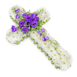 In this image, a beautifully crafted funeral flower cross is presented on a clean white background, allowing every detail of the design to be clearly appreciated, as if laid out in a peaceful room overlooking Stanmore's leafy streets. The cross shape is completely covered with compact white spray chrysanthemums, their petals forming a soft, plush texture that conveys purity and calm reflection. Each little flower has a subtle green centre, giving the arrangement a gentle depth and a sense of living freshness. Running neatly around the edge of the cross is a slim lime-green ribbon, forming a smart border that highlights the structure and brings a modern edge to this traditional form of memorial tribute. At the centre where the arms meet, a lush arrangement of rich purple lisianthus draws the eye immediately. These blooms, some fully open in velvety deep tones, others still curled in bud, are interwoven with small tufts of light green foliage that provide contrast and interest. From this focal point, several lisianthus stems extend down the vertical arm, creating a diagonal cascade of purple flowers and buds that introduces gentle movement and flow. The lighting is soft and even, with a delicate shadow beneath the cross to give it dimension and a feeling of being carefully laid down, perhaps ready for delivery to a Stanmore church or cemetery chapel. The piece feels composed and contemplative, offering a message of sympathy, faith, and serene remembrance for a final goodbye.