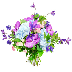 This elegant mixed bouquet is photographed against a crisp white surface, allowing every hue and texture to shine with understated clarity. The design centres on large, fluffy heads of pale sky-blue hydrangea, their countless tiny petals overlapping to form soft, rounded mounds that feel both generous and calming, much like the open skies above Stanmore's green spaces. Nestled into this cool blue foundation are bold orchids in fuchsia and deep purple tones, probably Vanda or Phalaenopsis varieties, their broad petals etched with fine speckles and veins that bring a sense of exotic richness. Rising from and spilling gently around the main cluster, deep purple clematis blooms stretch out on slim, flexible stems, their star or bell-shaped flowers creating a sense of movement and height reminiscent of climbing vines along garden fences near Belmont Circle or Canons Park. Between these dramatic shapes, miniature roses in shades of blush pink and creamy white soften the overall look, their small, rounded blooms suggesting quiet romance and thoughtful sentiment. Lush greenery with glossy leaves surrounds and supports the flowers, giving structure, contrast, and a feeling of freshly gathered abundance. At the base, the stems are drawn together and neatly tied, displaying the skilled, hand-tied craftsmanship typical of Flower Delivery Stanmore's bespoke arrangements. The bouquet radiates polished beauty with a slightly wild edge, perfect for marking birthdays, anniversaries, or heartfelt get-well wishes delivered across Stanmore and the wider North West London area.
