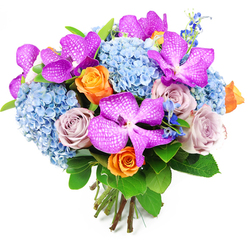 Captured against a plain white background, this hand-tied bouquet radiates the kind of considered beauty you might expect from an experienced Stanmore florist preparing flowers for a special occasion. Vanda orchids in intense shades of fuchsia and magenta punctuate the design, their generous petals marked with fine white speckles and intricate veining that gives them a luxurious, almost opulent texture. These orchids are anchored by full clusters of cool sky-blue hydrangeas, forming a plush, domed base with countless small florets that invite the eye to linger on their delicate detail, much like the layered greens and blues seen on a walk through Bentley Priory Nature Reserve. Among these hydrangea cushions, roses rise in warm and gentle tones: vivid orange roses with neatly coiled centres begin to open into layered spirals, bringing an uplifting, celebratory energy, while dusty-lavender and mauve roses soften the palette, introducing a note of classic romance. Shooting up here and there, slim stems of deep blue accent flowers, reminiscent of delphinium spikes, break the rounded silhouette just enough to add rhythm and light movement. Surrounding everything, lush green foliage spreads out, its broad, glossy leaves and softer sprigs framing the central blooms, heightening both contrast and depth. The entire composition is gathered into a compact, rounded shape, with straight stems clearly visible at the base, neatly cut and securely bound to showcase the hand-crafted nature of the arrangement. Perfect for marking achievements, welcoming a new home in Stanmore, or simply bringing a sense of luxury to a quiet evening dinner, this bouquet balances vibrant colour with soothing calm, making it a versatile yet unmistakably special piece.