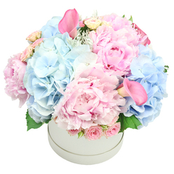 On Stanmore Broadway, this arrangement feels like a whispered memory of a sunrise. The hatbox contains a generous sweep of soft pastel pinks and baby blues, a palette that radiates calm and joy. Dominant are plush pink peonies, their many petals catching the light, paired with cloud-like clusters of light blue hydrangeas that add generous volume. Intertwined among them are pale pink spray roses with furled buds that lend delicate texture, and two calla lilies in a deeper rose hue, standing tall and cinematic, one near the top-left and the other near the bottom-right. Delicate green leaves and a hush of dusty miller frame the bouquet, lending a cool contrast to the warmth of the pinks. The full, rounded dome is meticulous in its balance, a testament to a Stanmore florist's craft. Sheltered within a white background, the piece reads as a sophisticated gift, a thoughtful centerpiece for anniversaries, baby arrivals, birthdays, or celebrations in Stanmore neighborhoods such as Canons Park and Edgware. The scent is soft and floral, and the texture blends velvety petals with crisp edges of the spray roses and the smoothness of the calla lilies. Ready for same-day delivery through Flower Delivery Stanmore, it makes an impression of care, refinement, and timeless elegance.