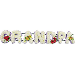 A beautifully arranged floral tribute stretches horizontally, spelling GRANDPA in large, block capital letters, each one completely carpeted in tightly packed white chrysanthemums that give a plush, cushion-like effect. Against the clean white background, the flowers appear luminous and serene, while a neat border of soft lavender ribbon edges every letter, providing gentle contrast and adding a refined finish. In the sweeping curve of the initial G, a vibrant cluster of three to four deep red roses is cradled by fresh green foliage, their velvety petals rich and expressive, like the deep affection held for a beloved grandparent. The third letter, A, carries a graceful grouping of yellow-green orchids, some with subtle reddish-brown centres, their unusual shape and colour hinting at the unique character and memories shared. At the centre of the word, the rounded D echoes the opening letter with another small mass of crimson roses and greenery, creating a visual rhythm along the tribute. The final A on the right side repeats the delicate orchids, tying the design together and giving a sense of completion. Slender support bars run discreetly beneath the letters, connecting them in a straight line and readying the piece for display at a funeral home, church, or cemetery in Stanmore, perhaps on the way to a service near Stanmore Hill or the local synagogue. The composition feels calm, respectful, and deeply personal, making it a fitting memorial arrangement to accompany a coffin, rest beside a photograph, or sit by the graveside as family gather to say goodbye to their grandpa. The mix of white blooms, red roses, and fresh orchids creates a balanced tribute that reflects purity, love, and enduring respect.