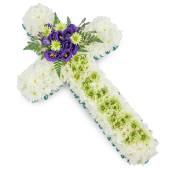 A serene Christian floral cross tribute rests on a plain white background, its composition as calm and composed as an early walk past Stanmore Country Park. The entire body of the cross is densely covered in pristine white spray chrysanthemums, each bloom closely packed to form a cushioned, almost quilted layer of petals. This snowy bed of flowers suggests purity, peace, and quiet reflection. Around the perimeter, a vivid green border, created with either ribbon or smooth foliage, outlines the arms and base of the cross, giving the arrangement a crisp silhouette and hinting at the renewal and hope symbolised by fresh greenery. Down the centre of the vertical arm runs a carefully defined stripe of lime green button chrysanthemums, their small, domed flowers arranged to create a fresh, modern detail. Over this stripe, very thin white or pale green wires are positioned in a light criss-cross pattern, adding a delicate sense of structure and elegance. At the heart of the cross, where the arms meet, a compact group of deep purple lisianthus blooms becomes the main point of focus. Their velvety, slightly ruffled petals offer a rich contrast against the white chrysanthemum base. Among the purple blooms, bright lime green button chrysanthemums and dark green fern fronds are woven in, bringing texture, depth, and a touch of woodland grace. Designed with the sensitivity of an experienced funeral florist in Stanmore, this floral cross would be fitting for a church service, crematorium chapel, or graveside farewell, offering a gentle, dignified expression of condolences and lasting love.