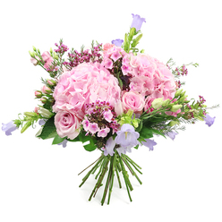 Displayed against a pristine white backdrop, this rounded bouquet of pink and lilac flowers looks like a breath of early summer drifting into a Stanmore sitting room. Two large, rounded heads of soft pink hydrangea form the main focal point, each one made up of innumerable tiny, ruffled petals that nestle together tightly, giving a plush, cloud-like texture. Nestled among these hydrangeas are several light pink roses at different stages of bloom: some fully open, with perfectly formed spiral hearts; others still in bud, petals wrapped closely as if keeping their beauty in reserve. From within the bouquet, slender stems of bell-shaped flowers in gentle lavender and dusky purple emerge, likely campanula, their delicate, fluted blooms adding height and a whimsical, almost fairy-tale quality reminiscent of quiet walks near Stanmore Common.   

To provide contrast and depth, the florist has threaded in fine clusters of deep fuchsia and darker pink filler blossoms, perhaps dainty waxflower or phlox-like blooms, whose small size and clustered habits give an intricate, speckled texture. A halo of fresh green foliage surrounds and interweaves with the flowers, offering a rich, natural frame and reinforcing the sense of freshly cut stems just prepared for same-day delivery around Stanmore and Canons Park. The stems at the base are visible, neatly aligned and tied together to create a classic hand-tied bouquet, ready to drop straight into a favourite vase. The overall impression is one of gentle romance, gratitude, and quiet celebration, perfect for marking birthdays, anniversaries, or simply brightening a loved one's day with a thoughtful local floral gift.