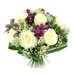 This image presents a refined, hand-tied bouquet arranged with a rounded, compact profile and photographed against a pure white background, allowing each flower to stand out without distraction. Dominating the centre are generously sized creamy white roses, fully open and spiralling outward from tightly layered hearts into soft, velvety petals. Their gentle tone and symmetrical form project elegance and calm, the kind of composed beauty that would sit perfectly in a Stanmore living room overlooking leafy streets. Interwoven among these roses are clusters of deep purple and magenta alstroemeria, their trumpet-shaped blooms and slim, arching petals introducing a vibrant counterpoint of colour. Some flowers are fully open, while others remain partially budded, hinting at freshness and movement over time. Delicate stems of white baby's breath thread their way through the bouquet, forming airy clouds that soften the transitions between cream and purple and give the arrangement a light, floating quality. Nestled within this mix, green-white astrantia add a nuanced texture: their star-like bracts and pincushion centres lend a quiet sophistication, reminiscent of refined garden plantings near Stanmore Country Park. The bouquet is neatly enclosed at the base by broad, dark green aspidistra leaves, carefully folded and wrapped to create a smooth, structured collar that contrasts with the softness of the petals and ensures a modern, polished outline. Beneath this leafy frame, the stems are visible, evenly trimmed and gathered, confirming the hand-tied craftsmanship. The bright, neutral lighting brings out the creaminess of the roses, the jewel tones of the alstroemeria, and the glossy sheen of the foliage, with soft shadows adding just enough depth. This arrangement feels ideal for thoughtful occasions in Stanmore-whether expressing sympathy, marking an anniversary, or offering a graceful thank-you to neighbours or friends.