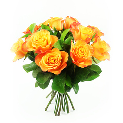 Here a vibrant bouquet of roughly twelve roses is captured in sharp focus, set against a pure white background that throws all attention onto the flowers themselves. Each rose is fully opened, revealing layers of petals that spiral outward in soft, generous curves. At the centres, the petals hold a clear yellow tone, then transition through rich amber into glowing orange shades, with some blossoms showing a faint red-orange tint along the outermost edges. The blend of colours feels like warm evening light over Stanmore's leafy streets, soothing yet energising. The roses are gathered closely into a dome-shaped cluster, giving the bouquet a sense of fullness and luxury without feeling fussy. Tucked among the blooms are deep, healthy green leaves, their broad, slightly shiny surfaces adding depth and a fresh, garden-like presence, as if the bouquet had just been picked from a well-tended plot near Stanmore Golf Course. The stems, visible at the base, are aligned in a tight bundle, their dark green colour and clean cuts suggesting an expertly prepared hand-tied arrangement ready to be wrapped for delivery around Stanmore, Canons Park, or along Dennis Lane. The lighting is even and bright, so the soft shadows between petals simply enhance the sense of depth rather than distract. Overall, the bouquet radiates optimism and a quiet sense of celebration, perfect for a cheerful birthday surprise, an anniversary bouquet arriving at a Stanmore doorstep, or a warm way to say "thank you." The image combines classic rose romance with a fresh, contemporary presentation that highlights both the flowers and the skill behind them.