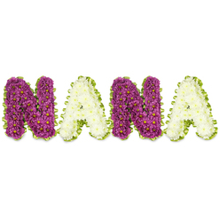 This custom sympathy tribute reads NANA in bold, three-dimensional floral letters, photographed against a pristine white backdrop so each bloom stands out with clarity. The two N letters are composed entirely of deep magenta to plum chrysanthemums, each bloom showing a tiny contrasting yellow centre that catches the eye like a gentle promise. The alternating A letters are made from dense clusters of creamy white chrysanthemums, their pale petals lending softness and quiet light. Every letter is neatly edged with a bright lime-green border - either pleated satin ribbon chosen for its sheen or closely packed foliage - which both defines the shapes and adds a hopeful, verdant note. Under soft morning light the texture of the chrysanthemum heads reads as richly sculpted; the petals overlap in a tactile, almost cushion-like surface, and the subtle, earthy scent of fresh mums suggests calm rather than sorrow. This arrangement is meant as a personalised funeral or memorial tribute to a grandmother: readable at a church service, funeral parlour or graveside, yet gentle enough for a family viewing. As a local Stanmore florist familiar with services around Stanmore Broadway and Bentley Priory, I imagine this piece being delivered with careful handling so the border and blooms remain crisp. Flower Delivery Stanmore prepares these bespoke letter tributes with attention to scale, proportion and the quiet dignity appropriate for remembering a cherished Nana in our community.