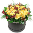 A stylish black hatbox brimming with yellow roses and deep red Leucadendron stands out clearly against a plain white background, its design combining classic elegance with a modern Stanmore sensibility. The arrangement forms a generous, rounded mound of flowers that seems to hover just above the rim of the container. At its core, a rich cluster of golden yellow roses dominates the composition. Each bloom is full and velvety, with petals unfurling in tight, spiralling layers that create lush, cup-shaped flowers. The roses sit shoulder to shoulder, their warm, sunny colour casting a cheerful glow reminiscent of early evening light over Stanmore's tree-lined streets. Threaded throughout the roses are striking stems of Leucadendron 'Safari Sunset', their elongated, pointed bracts adding structure and flair. These bracts display a gradient of colour from deep burgundy and maroon at the tips to softer green near the base, introducing a bold contrast that makes the yellow roses appear even brighter. Around the base of the blooms, glossy dark green leaves form a neat collar, grounding the design and providing a rich backdrop for the flowers. Delicate, feathery sprigs of finer green foliage peek out in soft wisps, gently spilling over the edge of the hatbox to soften its outline. The container itself is a smooth, matte black or charcoal grey, finished at the top with a slim, white lace trim bearing a subtle pattern that brings a touch of vintage romance. Overall, the arrangement feels warm, generous, and sophisticated, ideal for birthdays, celebrations, or thoughtful thank-you gifts delivered throughout Stanmore, from quiet residential roads to busy local businesses along The Broadway, by a florist who understands both style and sentiment.