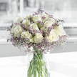 A tranquil bouquet of creamy white roses and airy lavender statice stands in a clear cylindrical glass vase, resting on a bright white tabletop that captures and reflects soft daylight, as though positioned near a window in a Stanmore living room. Around two dozen roses form a generous, rounded cluster, with blooms at varied stages: some still held in tight spirals, others opening more fully to reveal layers of smooth, velvety petals. The outer petals carry the faintest tone of pale green, adding a natural, just-cut feeling. Interlaced among the roses, slender stems of purple statice extend outward, each carrying clusters of tiny lilac and muted violet flowers that lend a light, feathery texture and a gentle halo of colour around the creamy centres. The glass vase is simple and unobtrusive, allowing a clear view of the straight, green stems neatly gathered and submerged in clean, transparent water that hints at recent, careful preparation. Behind the arrangement, the background dissolves into a subtle blur of whites and soft greys, suggesting a quiet, uncluttered room somewhere off Stanmore Hill or near the paths leading to Bentley Priory Nature Reserve. Natural light brushes across the bouquet, creating delicate highlights on the rose petals and soft shadows that contour their graceful shapes. The overall feeling is one of peace and thoughtful care, a design particularly suited for expressing sympathy, remembrance, or gentle support to someone in Stanmore, Queensbury, or nearby areas. Its understated palette and refined simplicity make it a comforting presence, the kind of bouquet that quietly accompanies reflective moments without demanding attention.