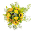 This bouquet shimmers with the luminous spirit of a Stanmore sunrise-vivid sunflowers with their bold golden petals and deep chocolate centres pair beautifully with soft yellow roses, their petals arranged in plush, delicate whorls. Scattered within, bursts of orange-red berries and sprays of lively green foliage add intrigue, while slender blue-green eucalyptus leaves wind lightly through the heart of the arrangement. Feathery asparagus fern encircles the bouquet, giving it a starburst effect that conjures memories of walks through the open spaces of Stanmore Golf Course after dawn. The overall mood is energetic and uplifting-every stem thoughtfully placed to convey celebration, gratitude, or to simply brighten a room on a quiet day. Hints of earthy greenery and the gentle sweetness of the roses mingle softly in the air, evoking the freshness of local gardens and the calm of Stanmore's peaceful avenues. This finely crafted bouquet, available for careful delivery across Stanmore, radiates happiness and warmth-a sensory gift designed to bring sunlight and joy to families, friends, or special gatherings.