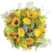 This joyful bouquet channels the essence of Stanmore's golden summer days, gathering sunflowers, yellow roses, and vibrant accents into a harmonious celebration of light. Central sunflowers beam with optimism, their faces dark and bold, surrounded by swaths of plush yellow roses whose soft scent invites a moment of serenity, much like a peaceful walk along Stanmore's leafy footpaths. Airy sprays of green fern and goldenrod arch outward, adding natural movement and a touch of wildness-echoes of the local woods and gardens the community treasures. Bright orange blossoms and dots of ruby red berries break up the golden tones, infusing the bouquet with brightness and joy reminiscent of lively neighbourhood gatherings in Stanmore. Eucalyptus leaves, dusted with silver, thread softly throughout, grounding the arrangement with refreshing fragrance. Created with care by a local florist, this bouquet is the picture of heartfelt celebration-suitable for birthdays, anniversaries, or simply to bring a radiant smile to someone's face in Stanmore or the nearby villages.