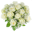 A serene, tightly rounded bouquet of about fifteen to twenty creamy white roses gathered into a classical dome, photographed against a clean white background so every petal edge shows. The roses range from tight buds to gently unfurling blooms, their velvety petals carrying a soft, warm cream with the faintest pale green on the outer guard petals that signals freshly cut stems. Between the large rose heads, fine clouds of white gypsophila float like spun snow, each tiny star-shaped floret lending an airy, feather-light texture that softens the composition. Rich, glossy rose foliage peeks out beneath and between the blooms, deepening the contrast and giving the cluster a natural, garden-fresh frame. High-key studio light kisses the petals, creating subtle shadows that emphasize the layered curves and the satin sheen of each bloom while keeping the overall mood pure and calm. The bouquet smells quietly floral-soft rose perfume tempered by a clean green note from the leaves and stems-evoking comfort and gentle celebration. As a local florist familiar with Stanmore, I picture this arrangement sitting on a mantel near Canons Park after a small family gathering or placed on a reception table along Stanmore Broadway for an intimate ceremony. Its understated elegance suits weddings, christenings, anniversary moments, or a sympathy placement where restraint and grace are wanted. The workmanship is visible in the balanced spacing and even dome profile: a timeless white-rose bouquet that reads of purity, solace, and thoughtful care, ready to bring quiet radiance to a room or to accompany a heartfelt note.