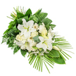 An elegant funeral spray of white flowers and rich greenery stretches across a white background, shaped in a gentle diagonal that broadens at the upper side and narrows gracefully towards the lower right. Central to the spray are several large white lilies, some fully open with wide, trumpet-like petals and creamy throats, others still tightly held in sleek buds that add height and a sense of unfolding time. Surrounding these are clusters of white roses and ruffled carnations, their layered petals forming a soft, comforting mass, with white gerbera-style blooms adding clear, round faces and delicate cream or pale-yellow centres. Tiny white filler blossoms are scattered throughout, softening the contours and bringing a cloud-like lightness to the design. The blooms rest on a bed of varied foliage: glossy, deep green leaves provide a strong visual base; fine, feathered fern fronds add movement and delicacy; and rounded eucalyptus leaves in cool, blue-green tones contribute both fragrance and a contemporary edge. Long, narrow leaves are carefully twisted and looped near the top, creating neat vertical details, while slender palm fronds spread outward from the lower right, giving the arrangement its distinctive elongated, fan-like finish. The palette of pristine white and layered greens conveys a sense of peace, respect, and remembrance, akin to the calm felt walking through Stanmore's quieter side streets or approaching the local cemetery. Crafted as a front-facing tribute, this spray is visually suited to rest beside a coffin, on a stand at a funeral or memorial, or laid at a graveside, offering a composed, heartfelt gesture of condolence within the Stanmore area.